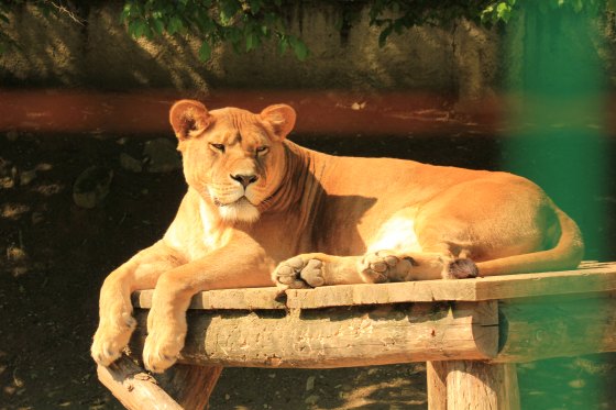ZOO Košice