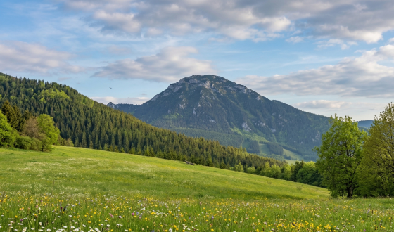 Chočské vrchy