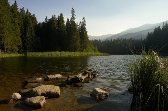 Vrbické pleso