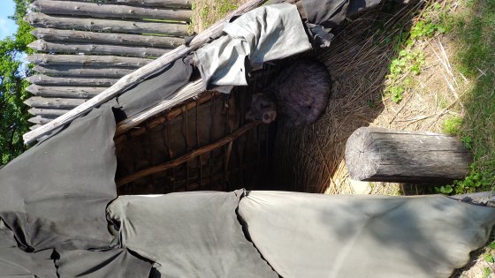 Archeopark Hanušovce nad Topľou