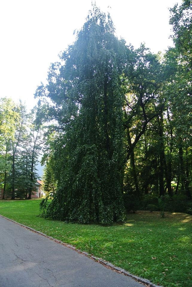 Park kaštieľa v Betliari 
