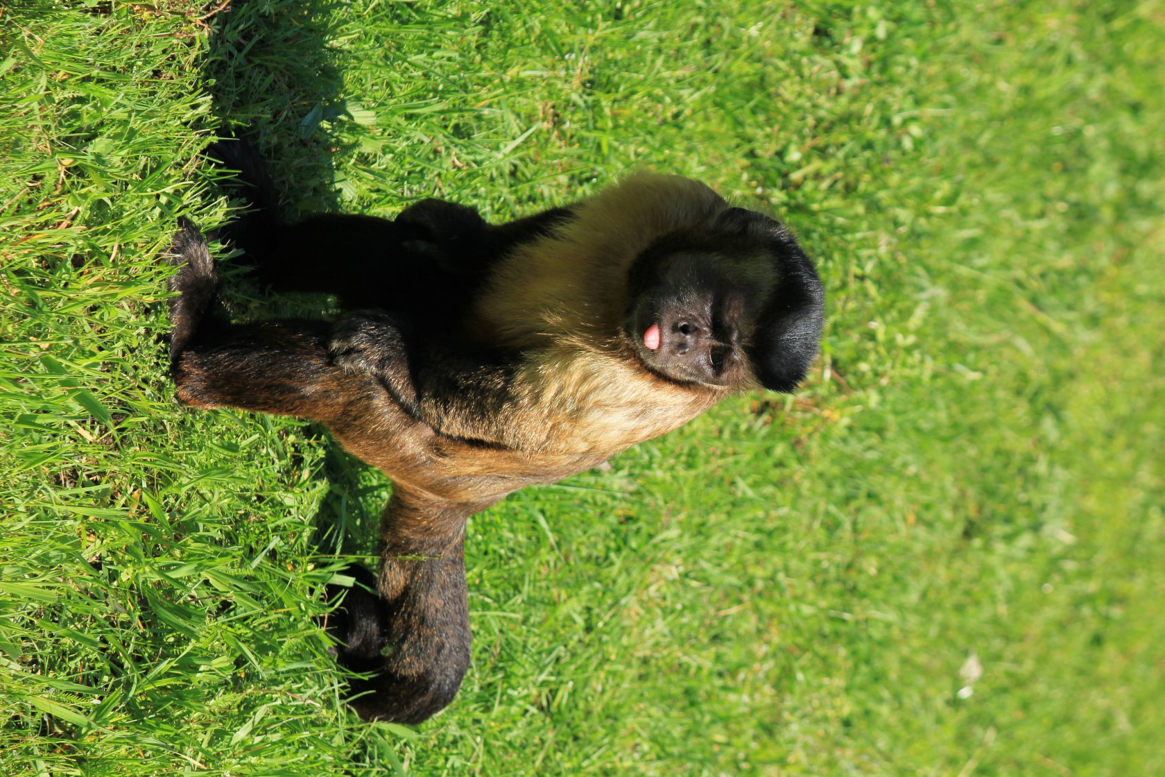 ZOO Košice