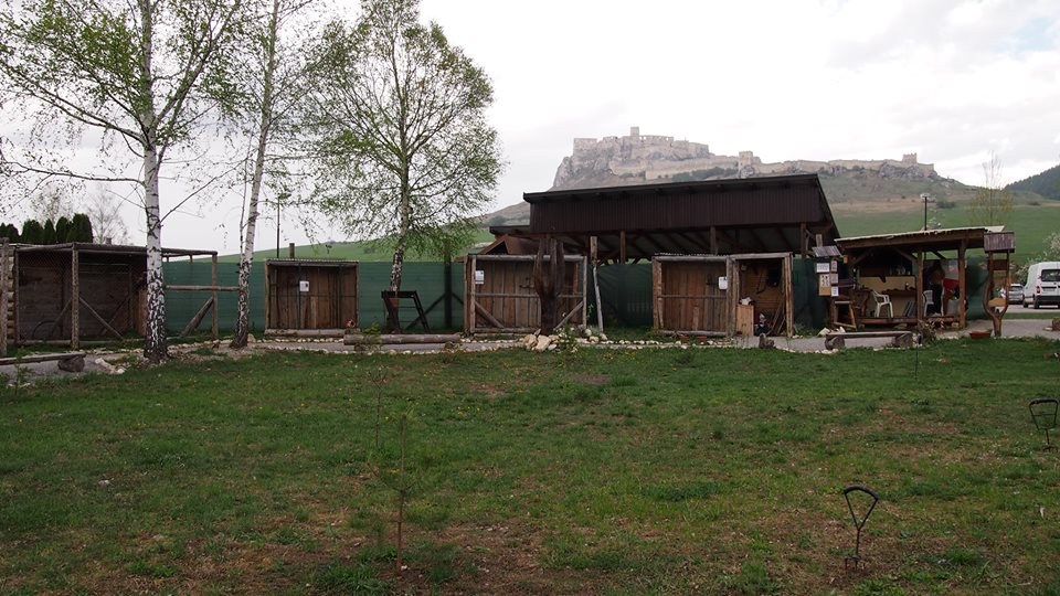Sokoliareň pod Spišským hradom