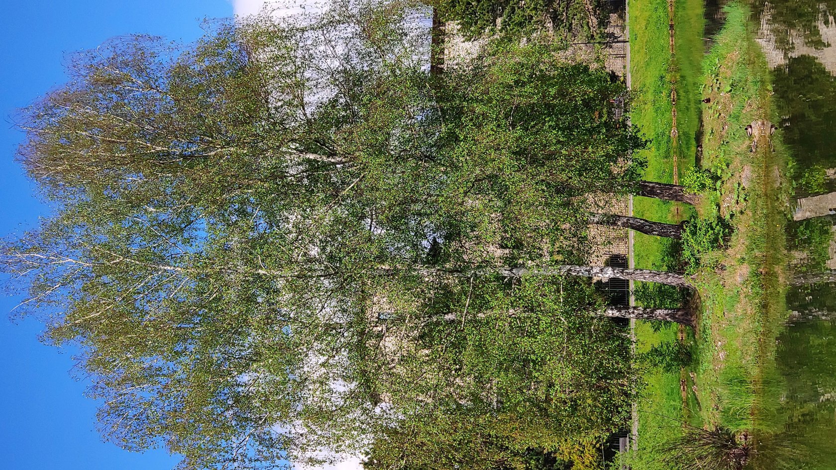 Hrad Liptovský Hrádok