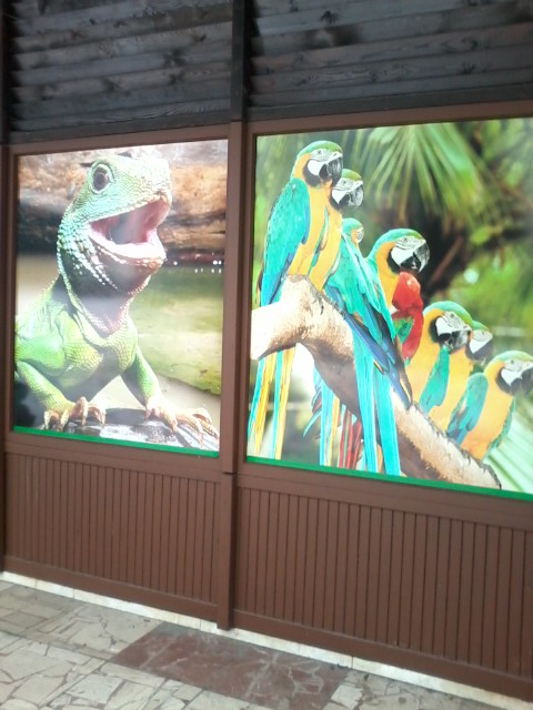ZOO Spišská Nová Ves