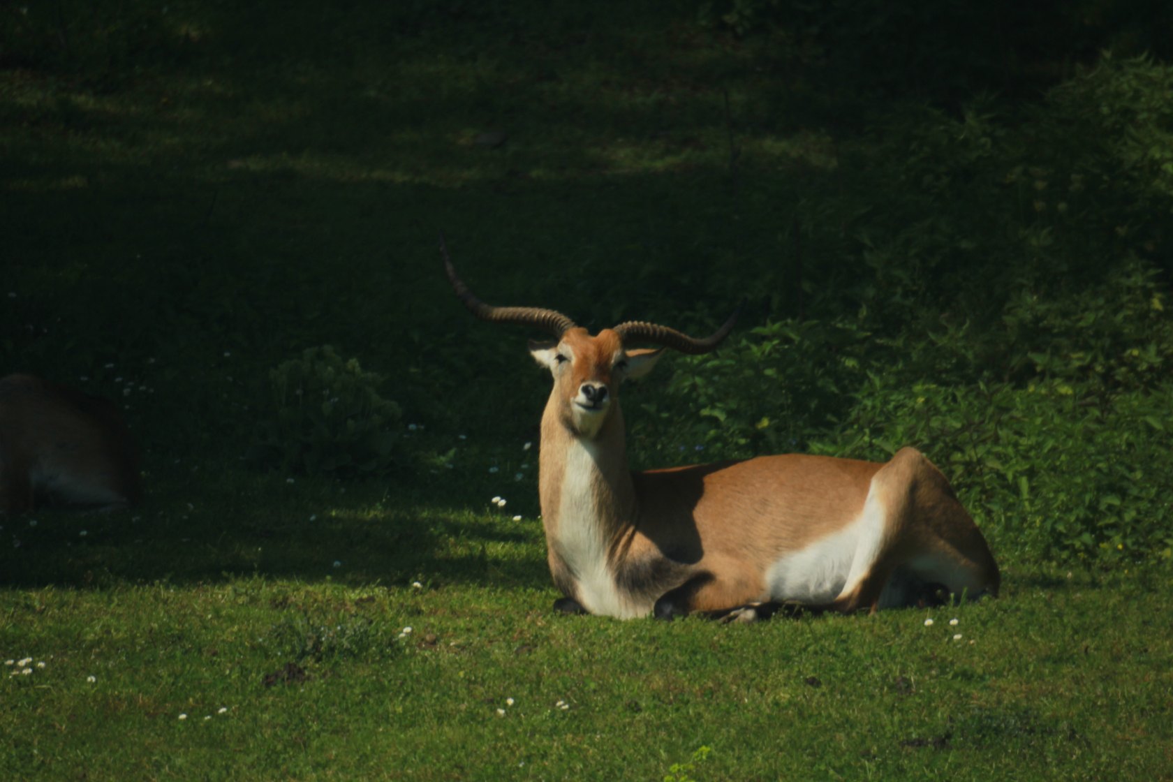ZOO Košice
