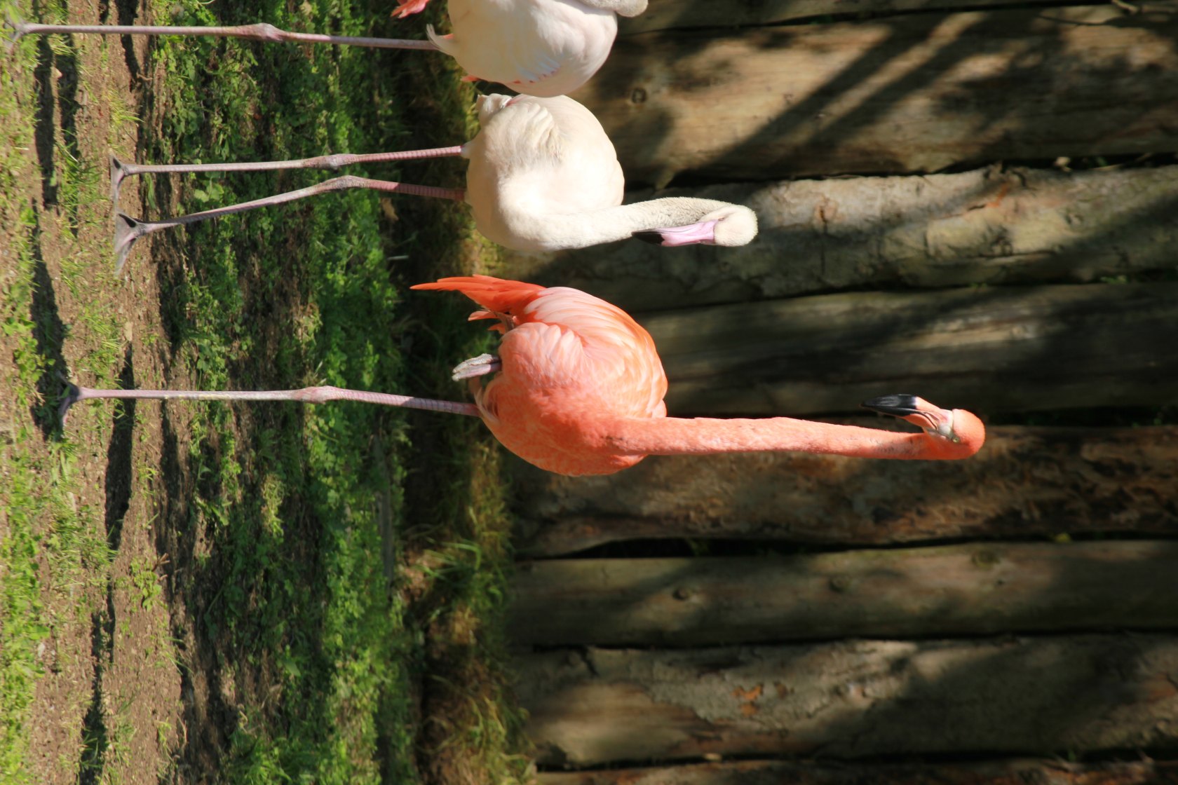 ZOO Košice