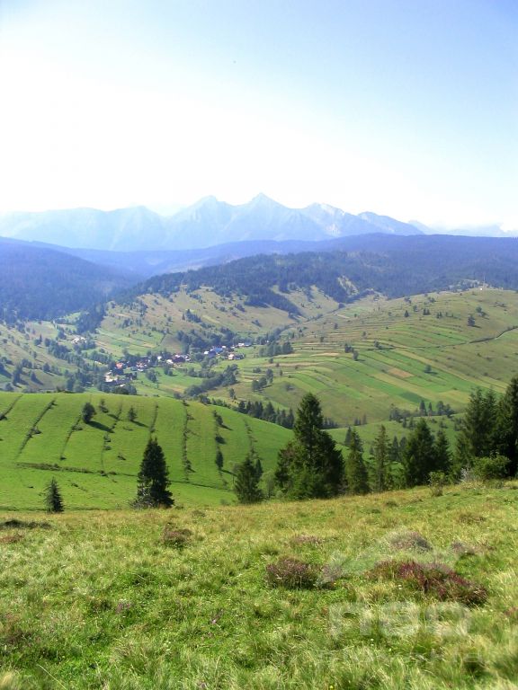 Osturňa