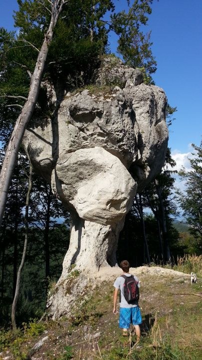 Skalný budzogáň