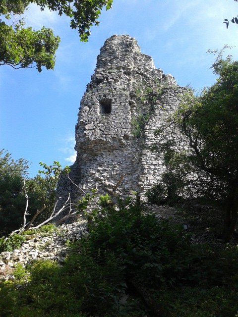 Viniansky hrad
