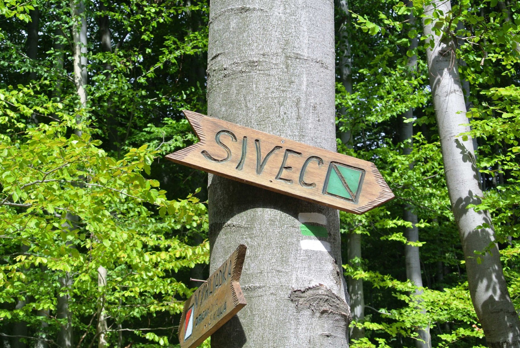 Sivec